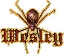 Wesley's Spider