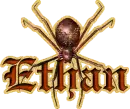 Ethan's Spider