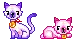 pink and purple
