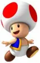 toad!
