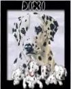 Dixi