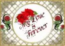 Love Forever
