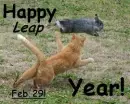 Leap