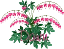 Dawn