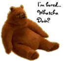 BEAR BORED WHATCHA DOIN