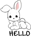 hello bunny
