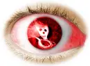 Red Skull Eye