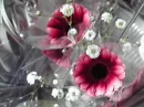 pink flower
