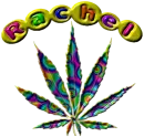 Rachel Pot Leaf