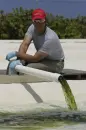 Mike Rowe