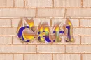 Carl in flames