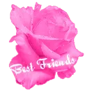 Best Friends