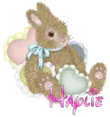 Bunny with Hearts and Name