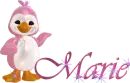 Penguin with Name