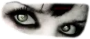 eyes