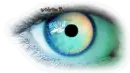 eye