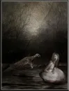 Girl in the Darkness