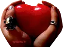 heart in hands