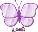 Leah butterfly