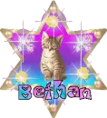 bethan cat