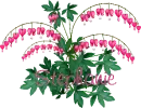 Stephanie