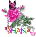 Shana - Diamond Pink Rose