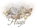 Metallic Butterflies Hugs