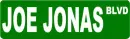 JOE JONAS