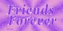 friends forever