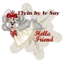  Hello Friend