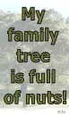 family tree