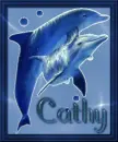 dolphin cathy
