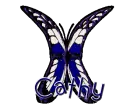 butterfly cathy1