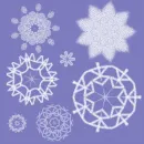 snowflake back