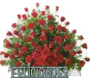 felicidades