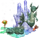 seadragons