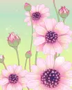 cute kawaii flower