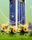 cute flowers
