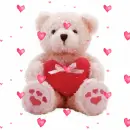 Teddy bear