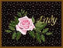 Lady
