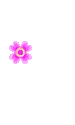 cute kawaii flower