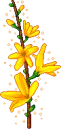 cute kawaii flower
