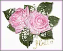 Hello