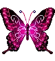 cute kawaii butterfly