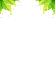 cute kawaii leaves