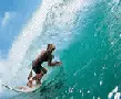 surf
