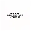 Big Brother Contest