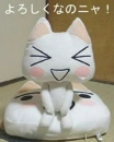 cute kawaii cat 
