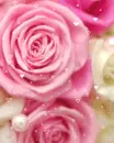 cute kawaii rose flower