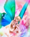 cute butterfly fairy